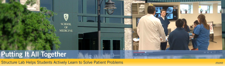 Putting it all together - Structure Lab Helps Students Actively Learn to Solve Patient Problems  - more