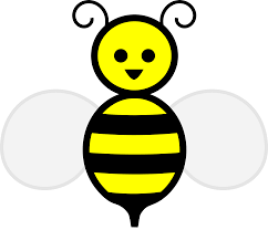 Brain Bee Image