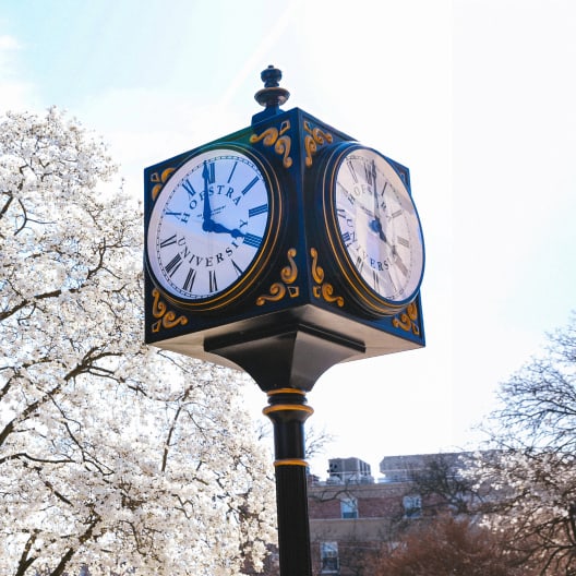 A black and gold outdoor clock with Roman numerals and Hofstra University on its faces stands in front of blooming trees and a building under a bright sky.