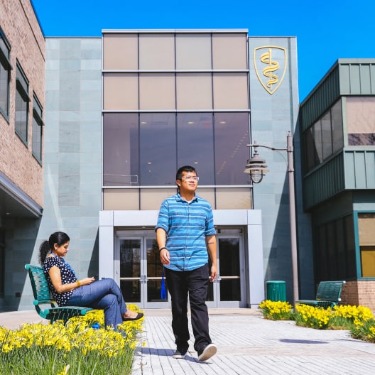 A man walks on a pathway lined with yellow flowers outside a modern building with large windows, while a woman sits on a bench using her phone. A medical symbol is visible above the building’s entrance.