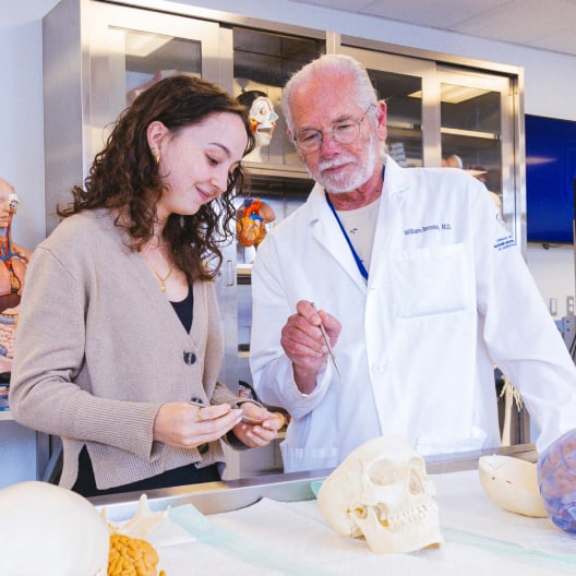 A young woman and an older man in a lab coat examine anatomical models, including a human skull, in a medical or educational setting with anatomical charts and models in the background.