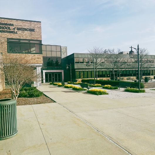 A campus scene shows the Zucker School of Medicine building, adjacent walkways, yellow flowers, bare trees, benches, and a recycling bin under a clear sky.