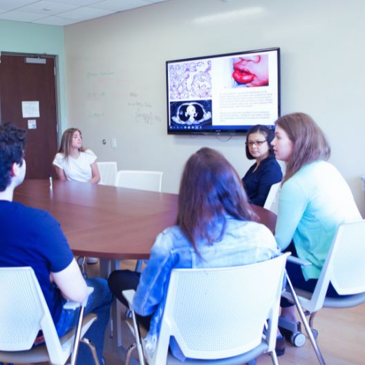 group of students in PEARLS session